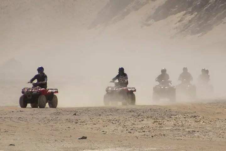 Quad Safari Tour & Camel Ride With Transfer:Marsa Alam